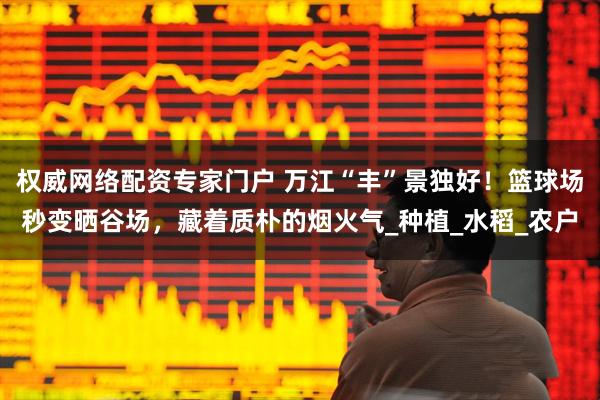 权威网络配资专家门户 万江“丰”景独好！篮球场秒变晒谷场，藏着质朴的烟火气_种植_水稻_农户