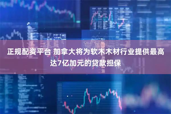 正规配资平台 加拿大将为软木木材行业提供最高达7亿加元的贷款担保
