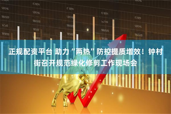 正规配资平台 助力“两热”防控提质增效！钟村街召开规范绿化修剪工作现场会