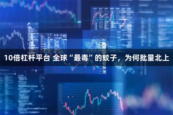10倍杠杆平台 全球“最毒”的蚊子，为何批量北上