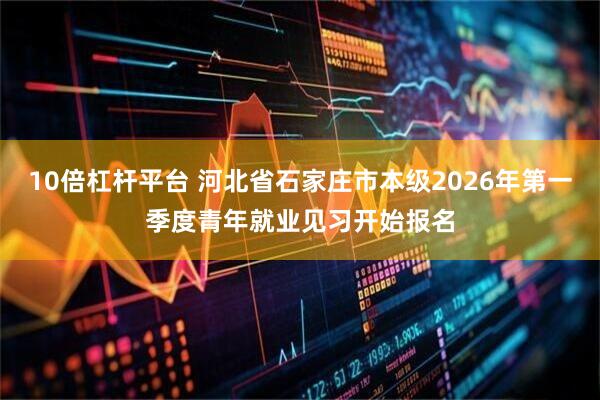10倍杠杆平台 河北省石家庄市本级2026年第一季度青年就业见习开始报名
